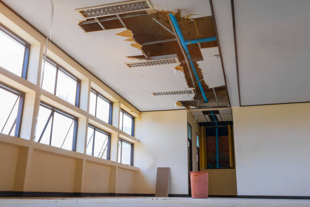 Best 24/7 water damage repair  in Fountain Inn, SC