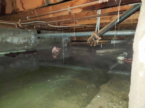 Best Sewage cleanup and water damage restoration  in Fountain Inn, SC