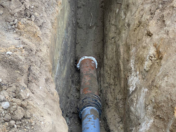 Best Flood damage cleanup  in Fountain Inn, SC