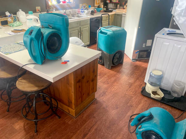 Best Water damage cleanup near me  in Fountain Inn, SC