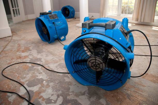  Fountain Inn, SC Water damage restoration Pros