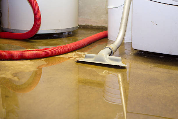 Best Flood restoration services  in Fountain Inn, SC