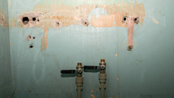 Best Emergency water damage restoration  in Fountain Inn, SC