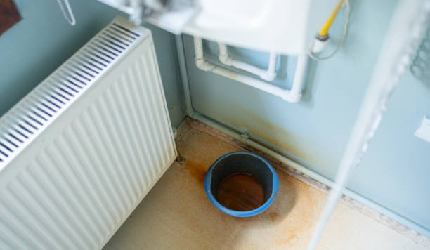 Best Water damage restoration near me  in Fountain Inn, SC
